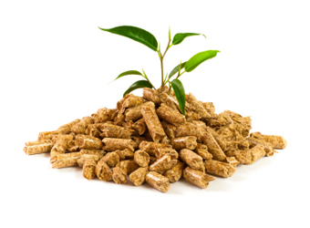 biomass-products